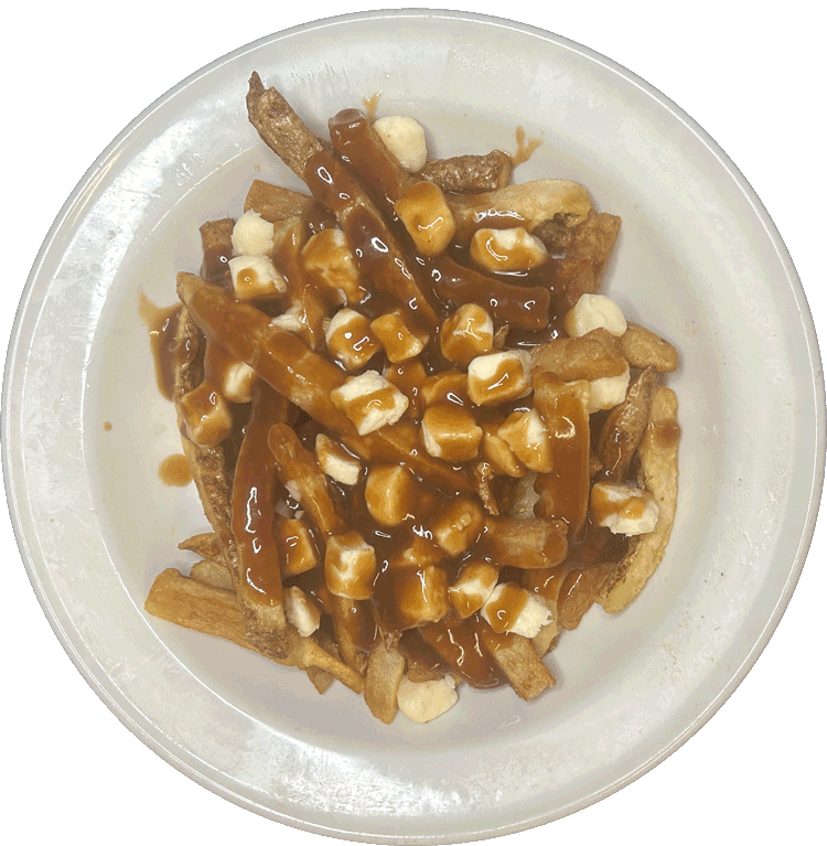 POUTINE FRIES