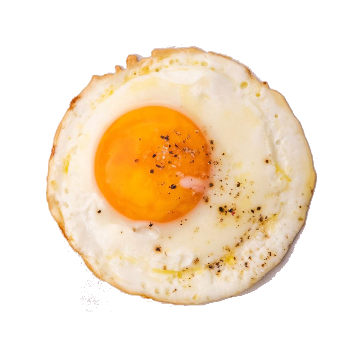EXTRA EGG