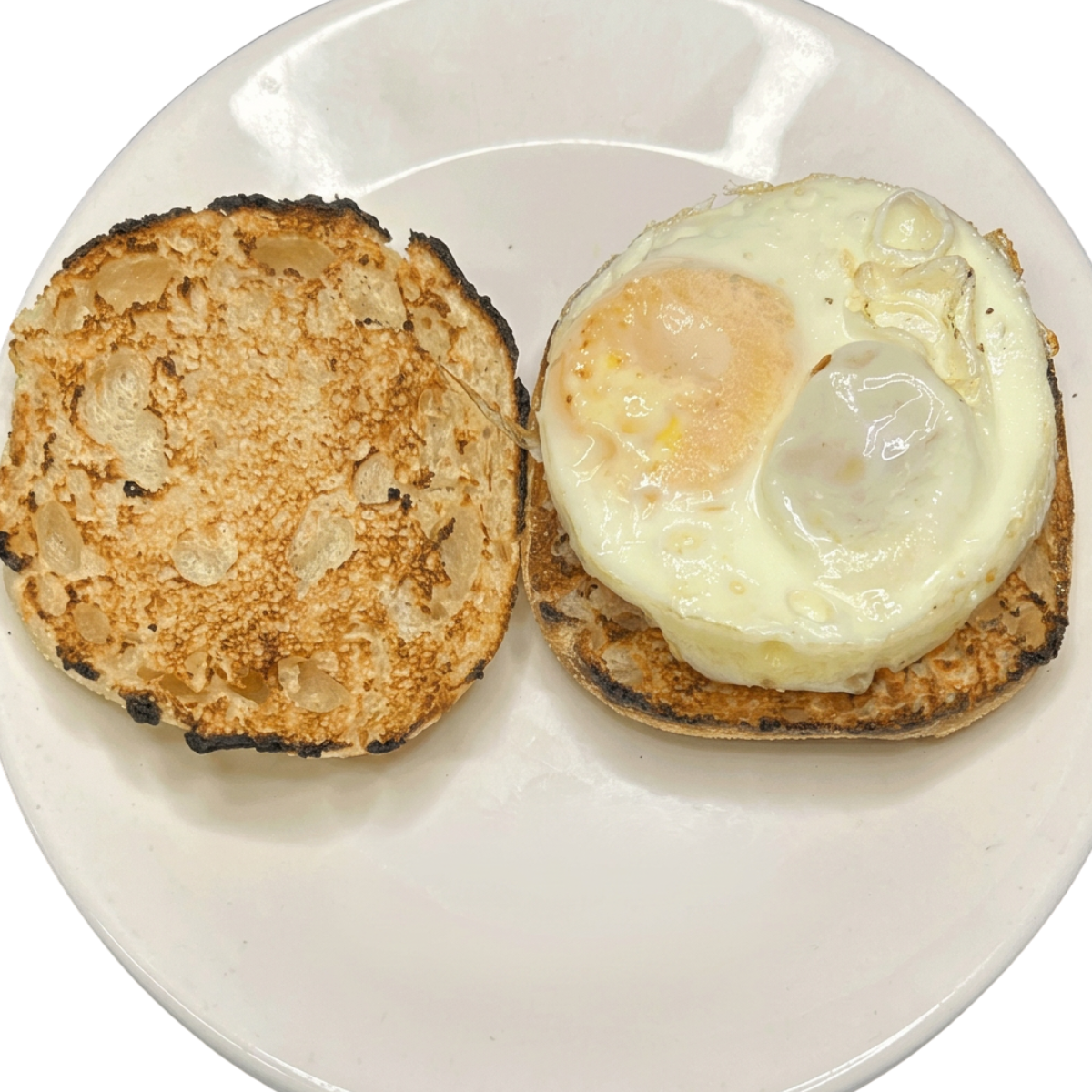 EGG & TOASTED ENGLISH MUFFIN